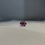 Sapphire Trapiche - Image 2